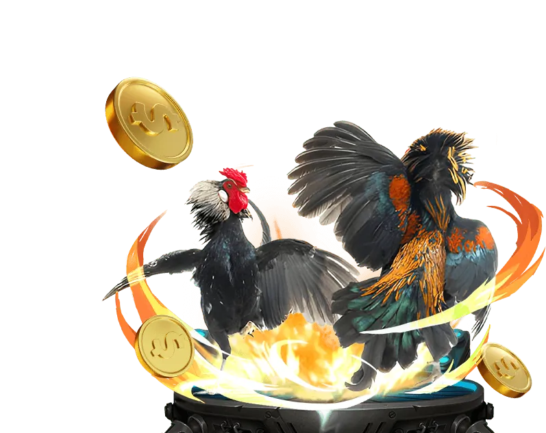 Hỗ trợ khách hàng chuyên nghiệp tại vip66 casino