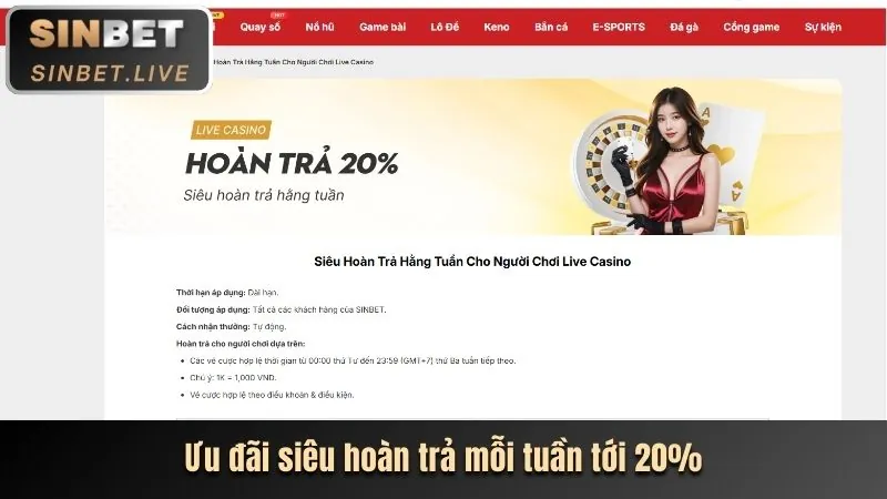 Chương trình VIP vip66 casino
